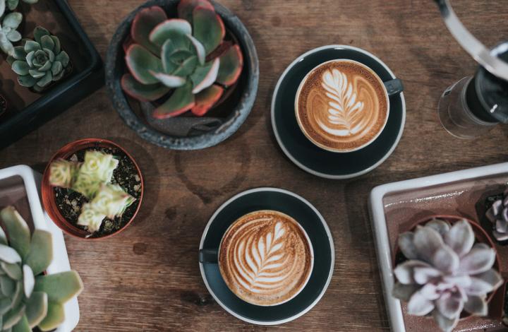 Koffie Landgoed Bergvliet